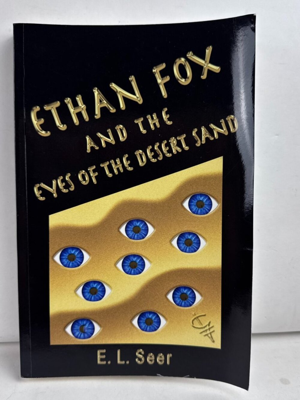 Ethan Fox and the Eyes of the Desert Sand by E. L Seer Paperback Book YA Fantasy